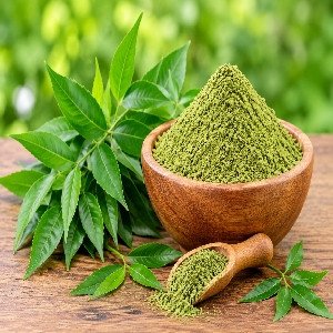 মেহিদি পাতা  চূর্ণ