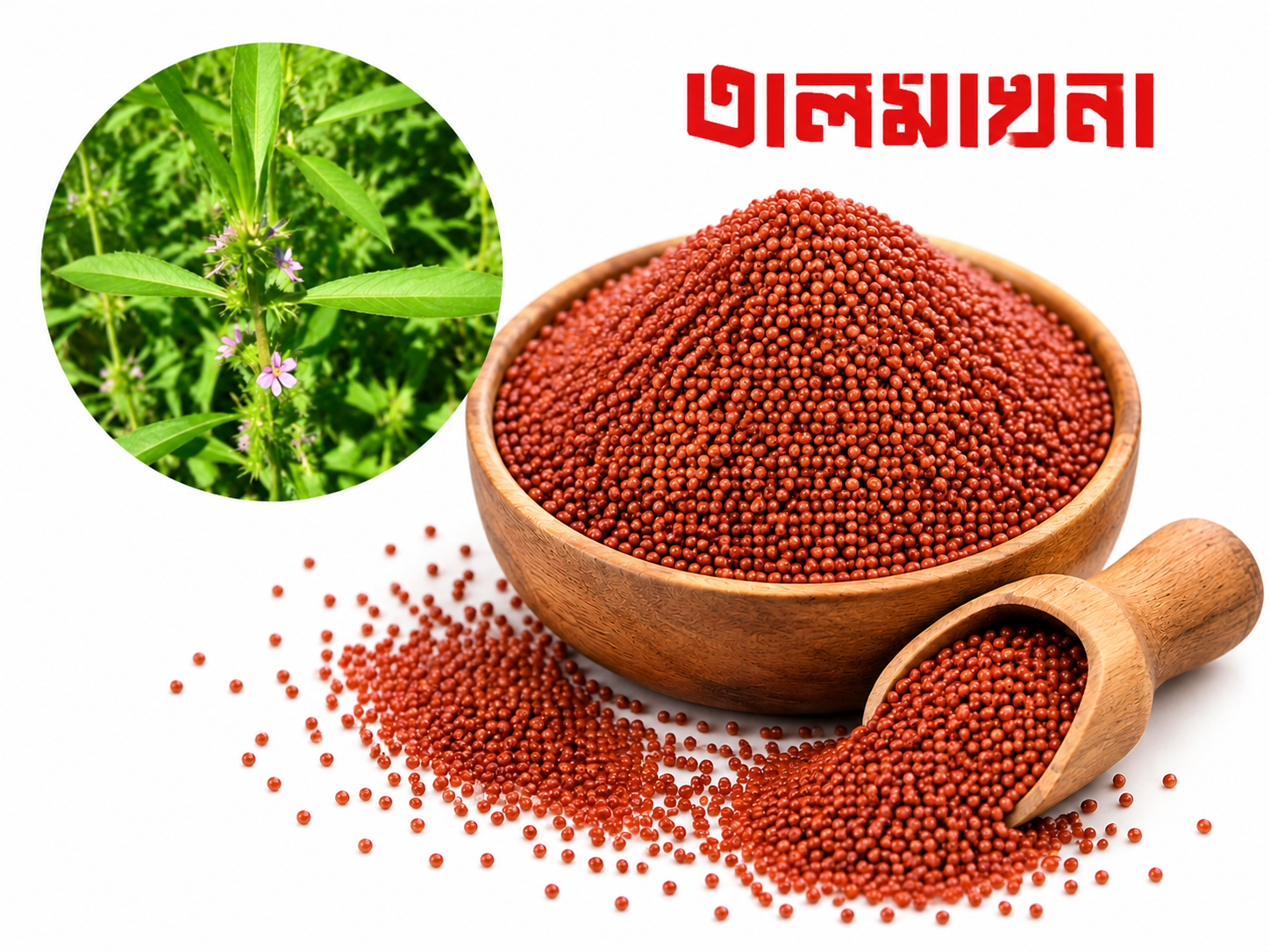 তাল মাখানা