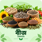 বীজ